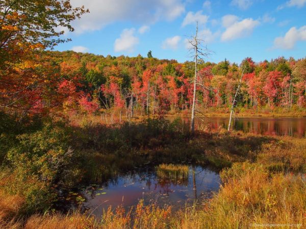 What Vermont and New Hampshire Look Like Right Now