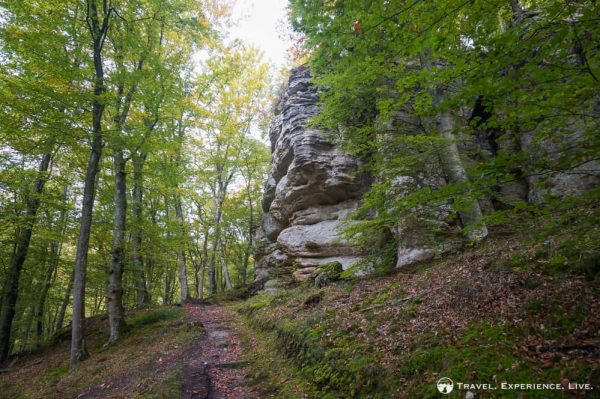 Hiking the Müllerthal Trail - Travel. Experience. Live.