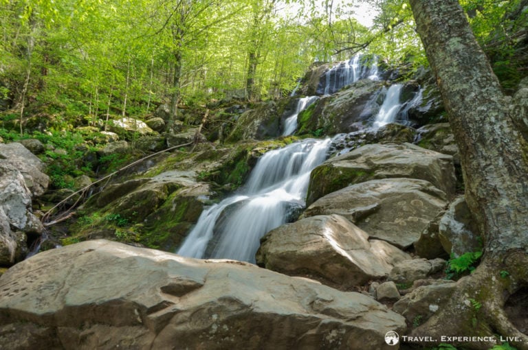 Dark Hollow Falls Trail, Shenandoah NP - Travel. Experience. Live