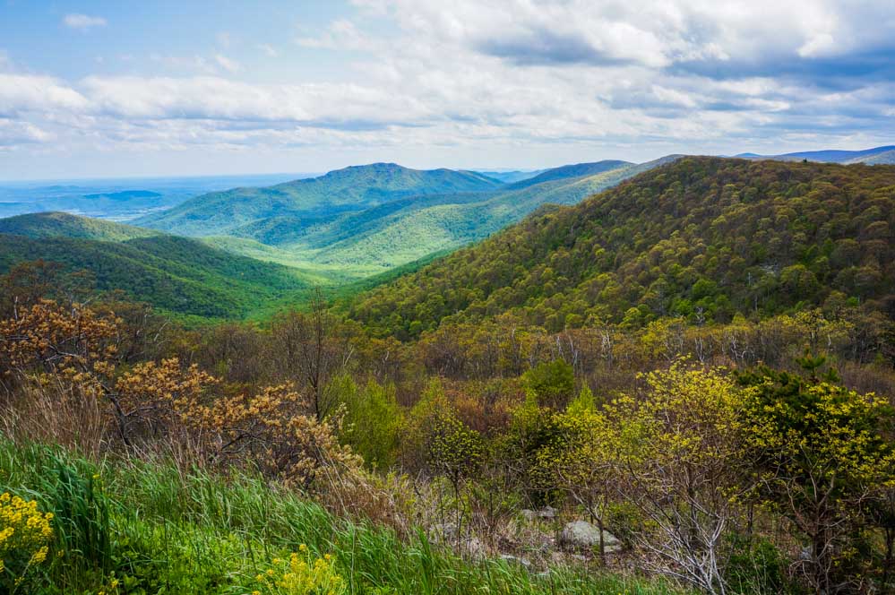 Shenandoah National Park, Virginia | Travel. Experience. Live.