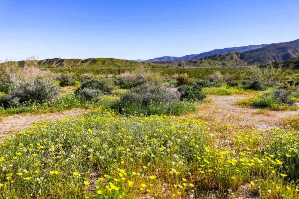 Explore the Southern California Desert Parks on This Epic Road Trip