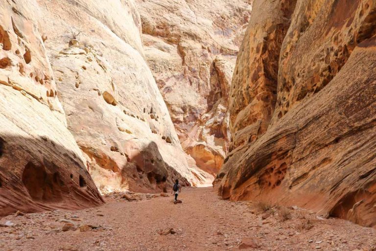 Grand Wash Trail in Capitol Reef National Park, Utah