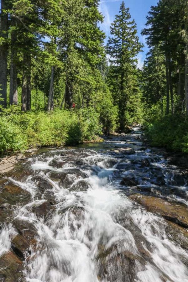 Best Seattle Day Trips: Mt Rainier National Park - Travel. Experience ...