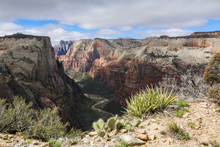 Zion Canyon, Observation Point Trail, Zion National Park