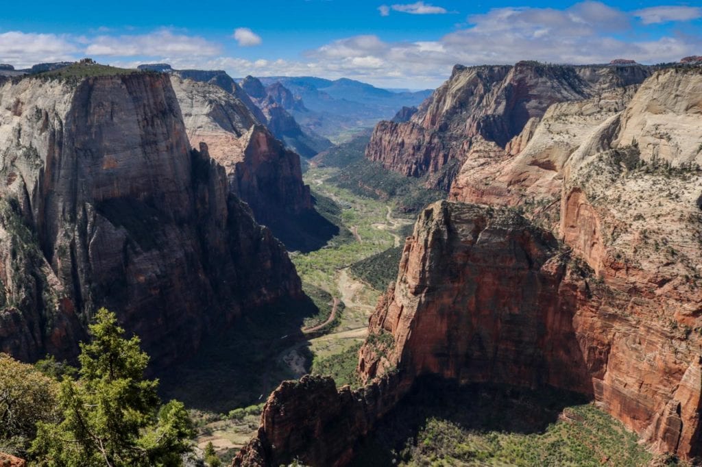 Observation Point Trail in Zion National Park, Utah - National Parks Blog