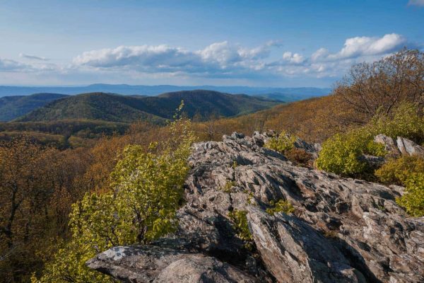 15 Best Day Hikes in Shenandoah National Park For Views, Waterfalls ...