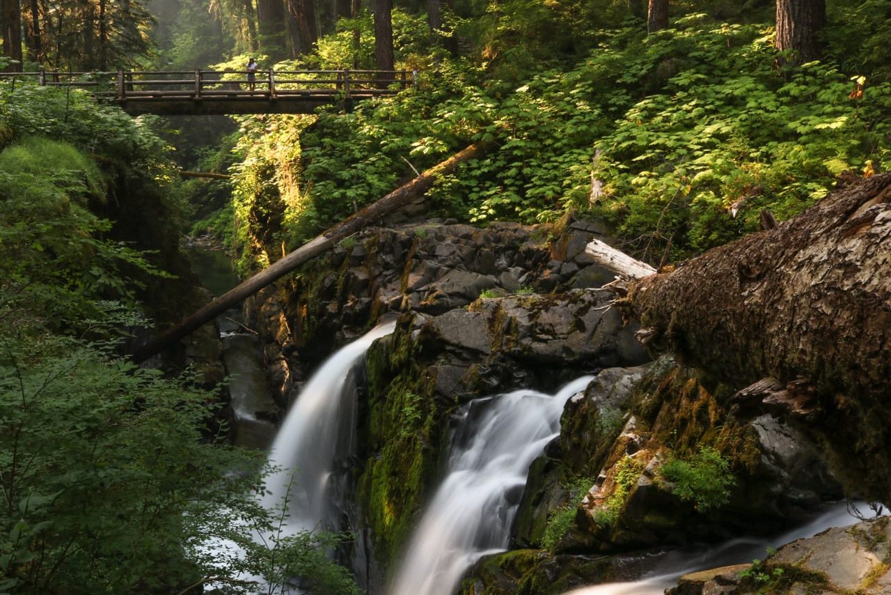 The Best National and State Parks in Oregon for Cascading Waterfalls,  Seaside Dunes, and Massive Fossil Beds