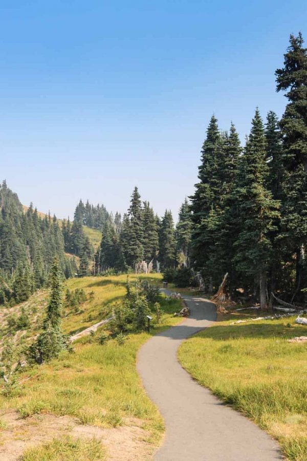 10 Wonderful Short & Easy Hikes in Olympic National Park The National