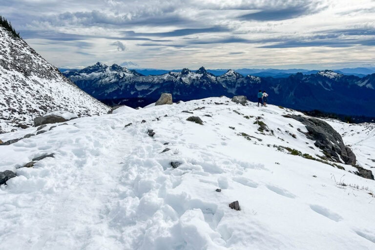 Snowy landscape on Skyline Trail at Mount Rainier