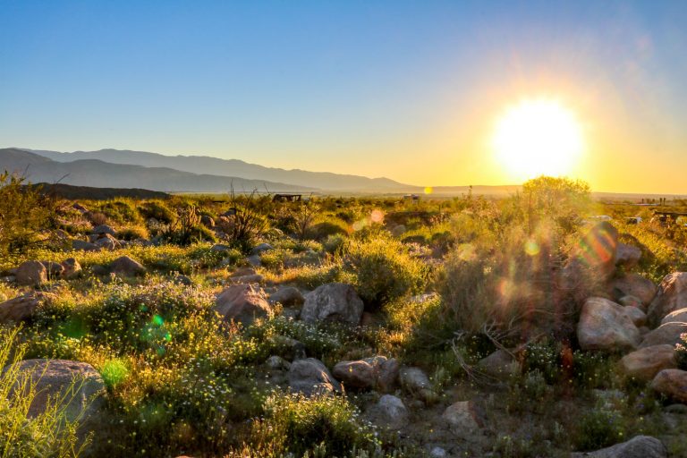 Sunrise in the Anza-Borrego Desert, California