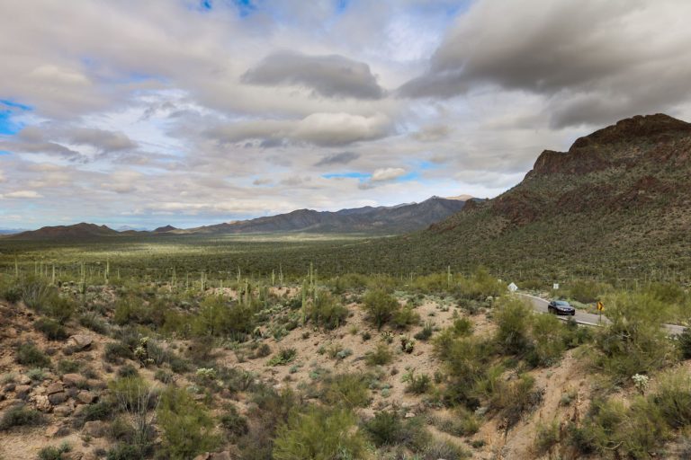 Cactus Forest Scenic Loop in Rincon Mountain District, Saguaro National Park Attractions