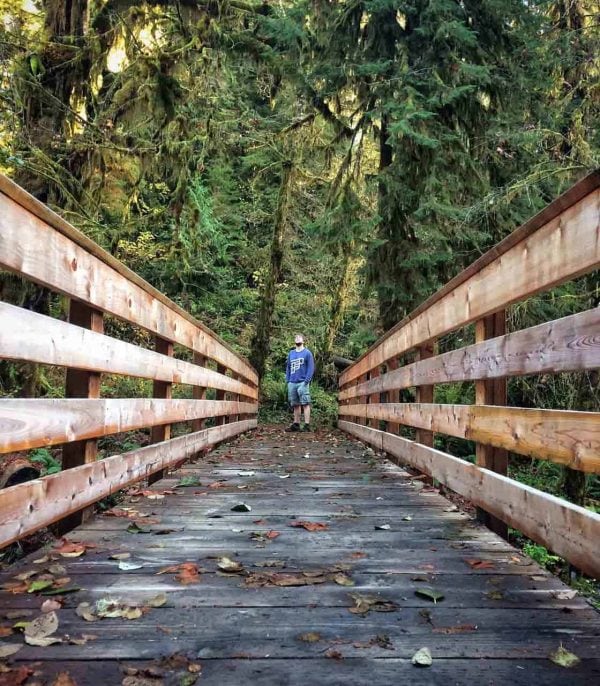 10 Top Things to Do at Lake Quinault, Washington | National Parks Blog