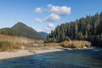 10 Top Things to Do at Lake Quinault, Washington | National Parks Blog