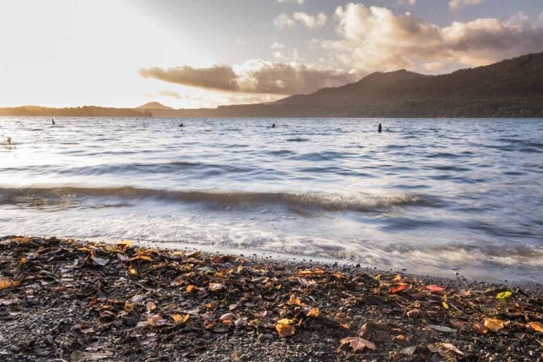 Sunset at Lake Quinault, Washington