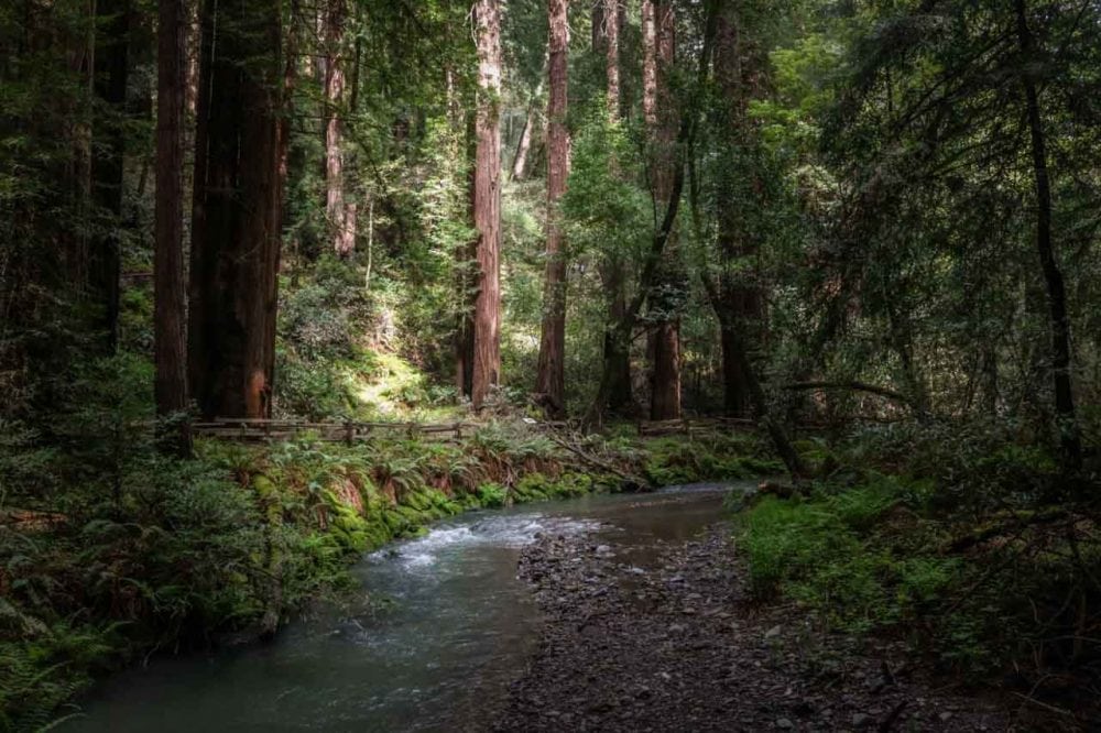 11 National Parks Near San Francisco, California - National Parks Blog