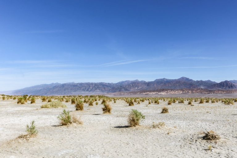 June in Death Valley National Park Was Never As Hot As It Was This Year