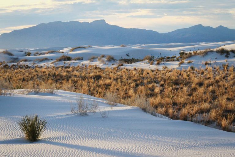 Top 5 U.S. National Parks With Sand Dunes - The National Parks Experience