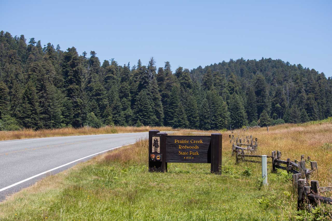 Prairie Creek Redwoods State Park, California