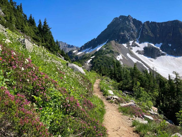 Pacific Northwest National Parks Road Trip: 14 National Parks ...