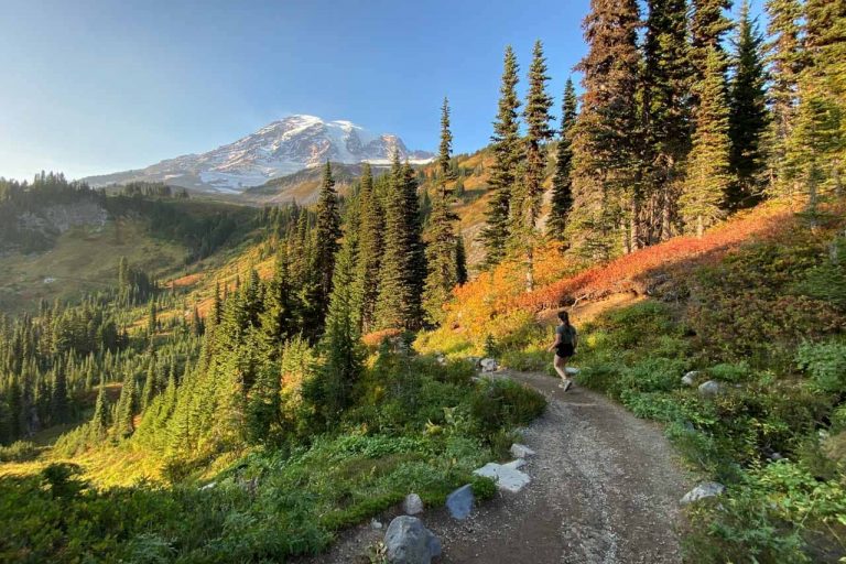 Fall foliage and hiker on the Skyline Trail in Mount Rainier National Park, Washington