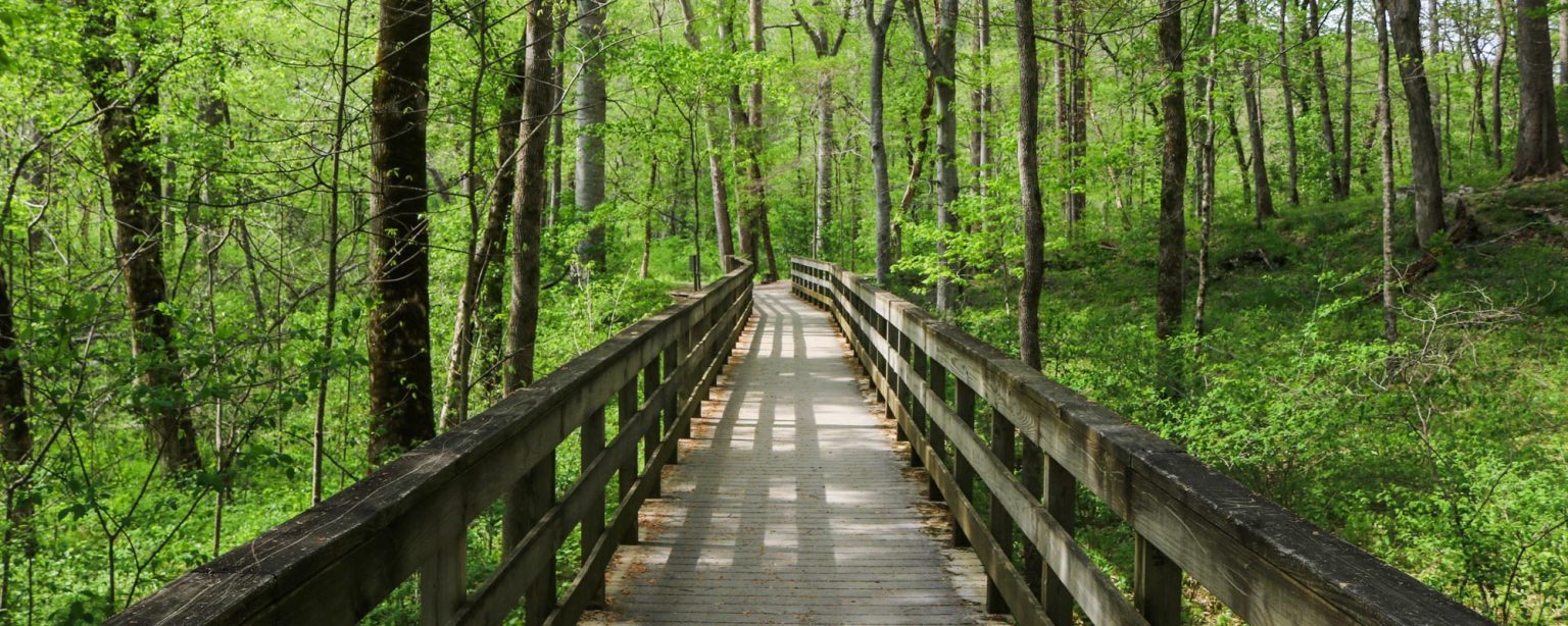 Mammoth Cave National Park, Kentucky - The National Parks Experience