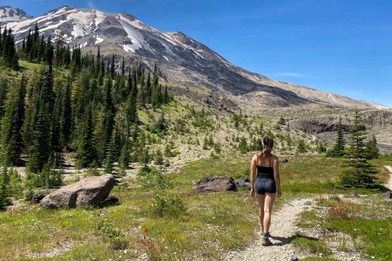 Mount St. Helens National Volcanic Monument, Washington - Hiker Ape Canyon Trail