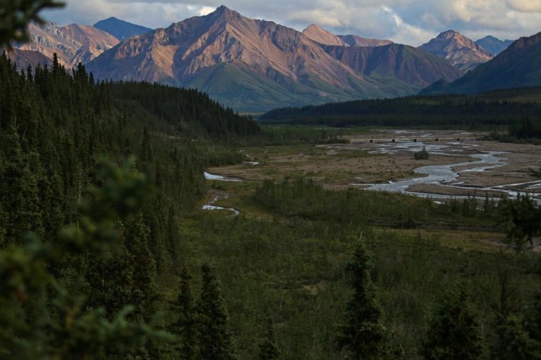 Teklanika Rest Stop view, Denali National Park - Photo Credit: NPS / Emily Mesner