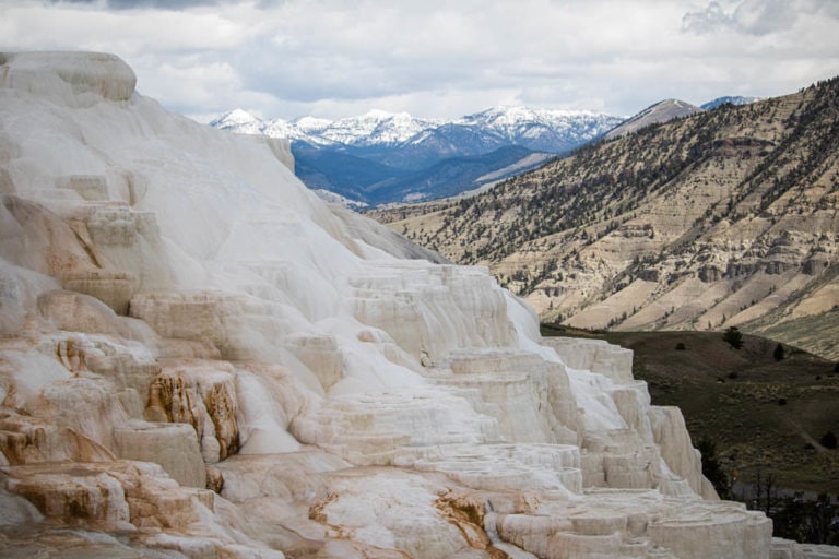 Canary Spring landscape, Mammoth Hot Springs, Yellowstone National Park