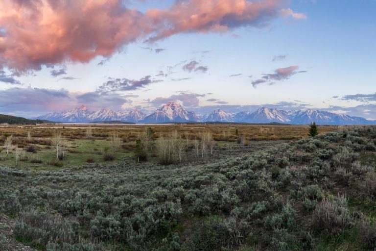 Willow Flats sunrise panorama in Grand Teton National Park