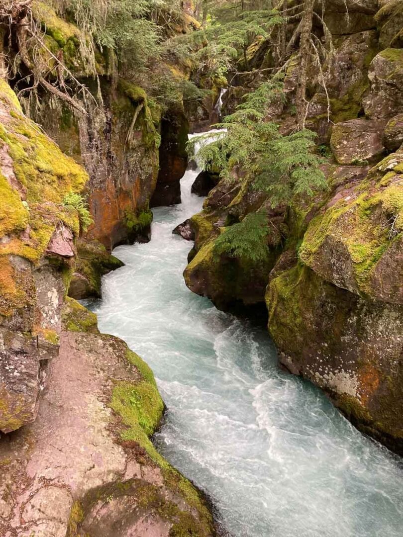 13 Best Day Hikes in Glacier National Park - The National Parks Experience