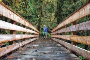 Hiker on Quinault Loop Trail, Olympic National Forest, Washington