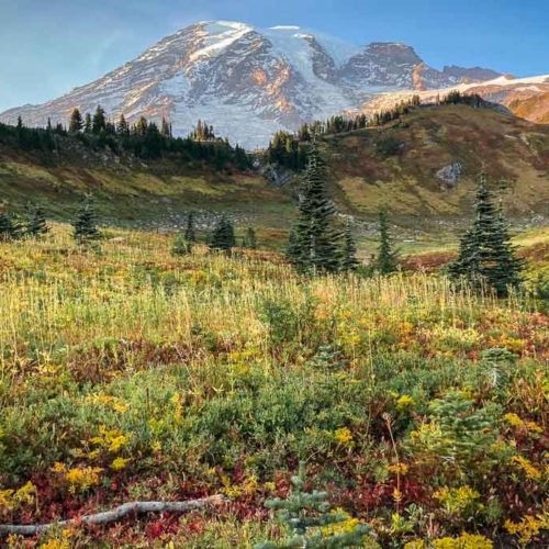 Mount Rainier in the fall, Washington