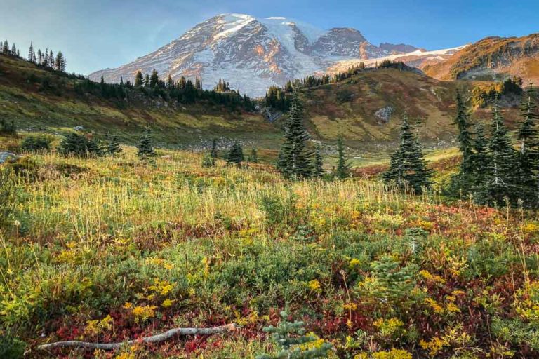 Mount Rainier in the fall, Washington