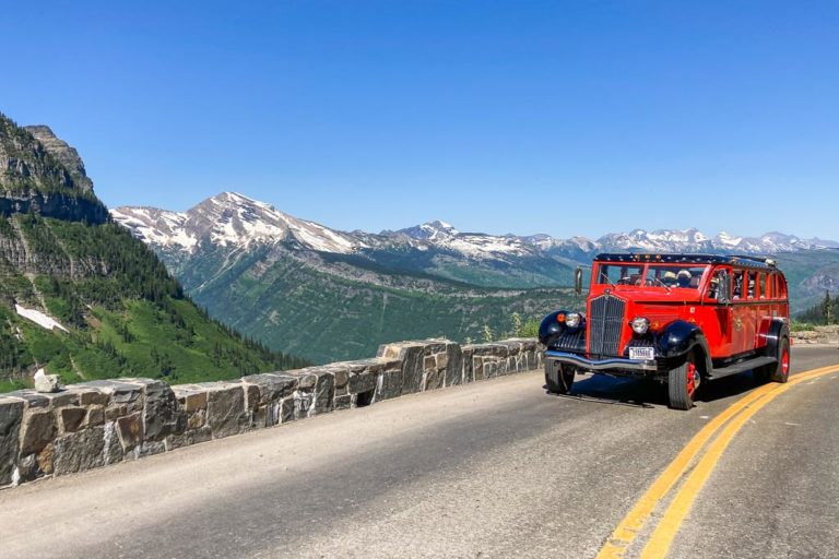 Red Bus on the Going-to-the-Sun Road in Glacier National Park