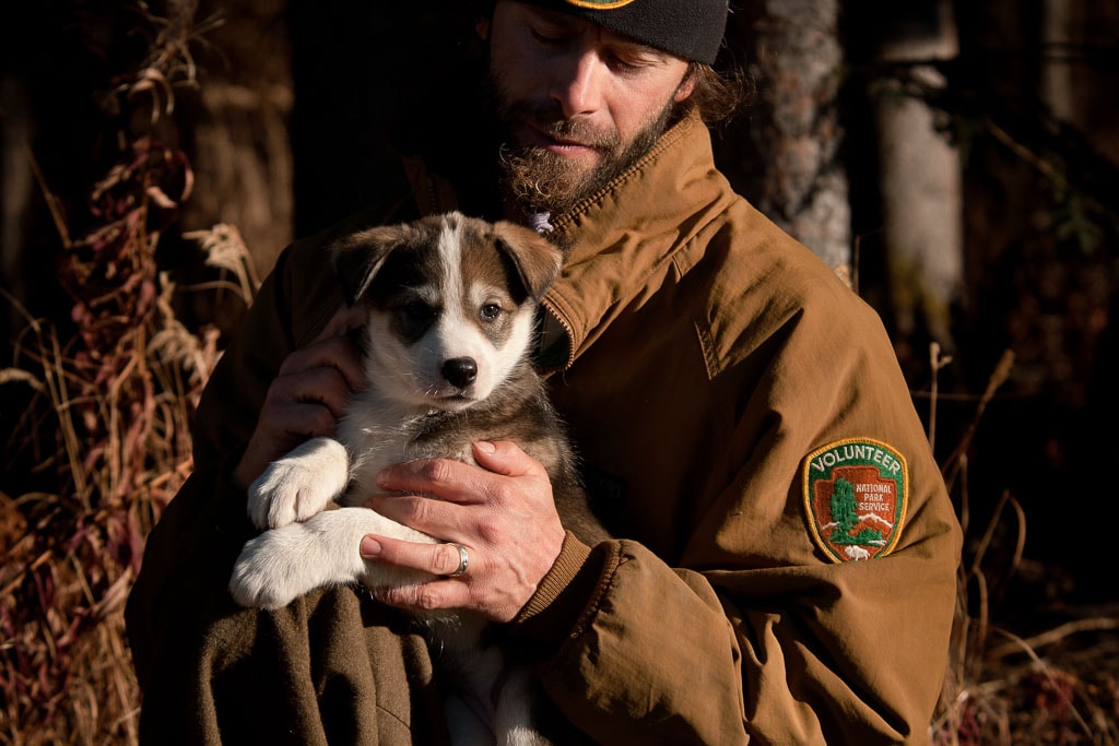 denali sled dog cam