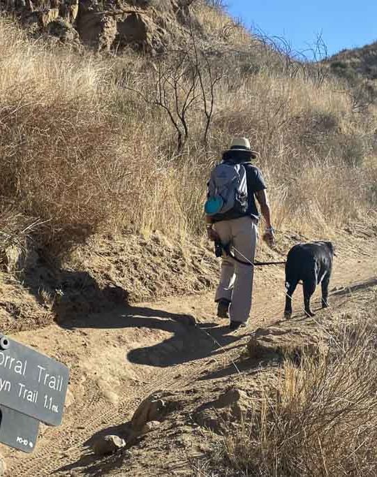 Dog safety tips in Santa Monica Mountains National Recreation Area, California - Photo credit NPS