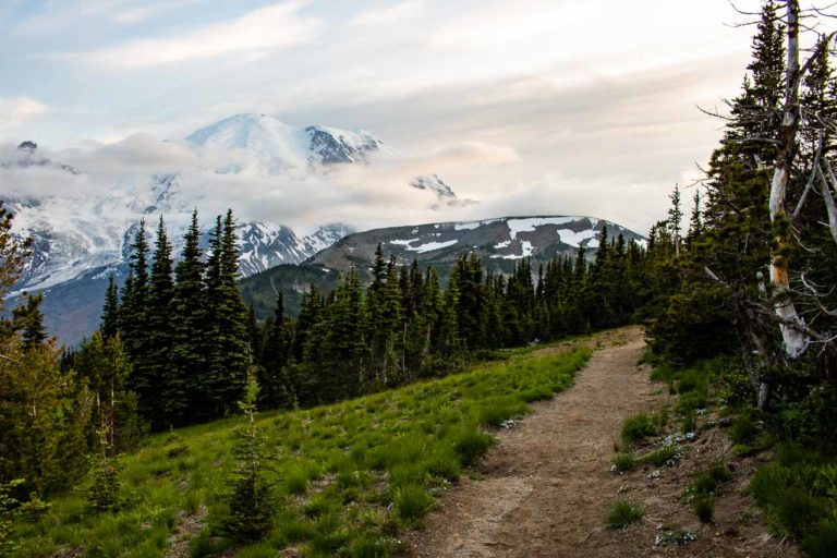 Sourdough Ridge Trail with Mount Rainier views, Mount Rainier National Park