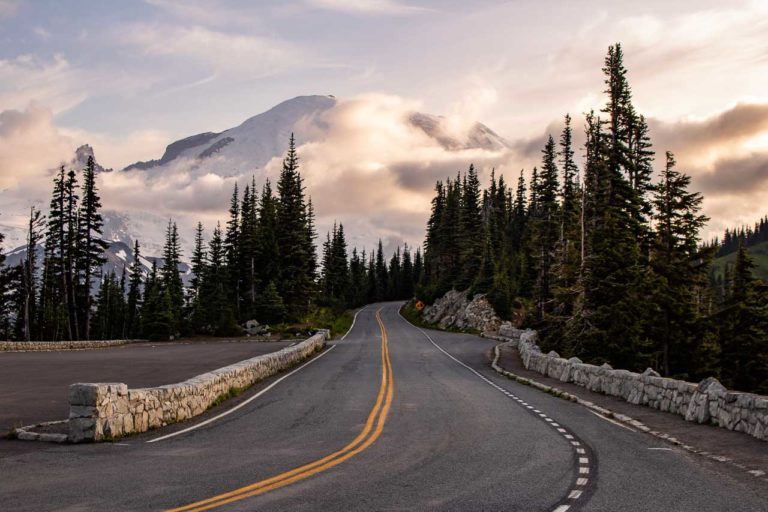 View of Mount Rainier from Sunrise Point, Mount Rainier National Park