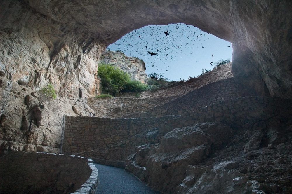 Bat flight at Carlsbad Caverns National Park - Image credit NPS Peter Jones