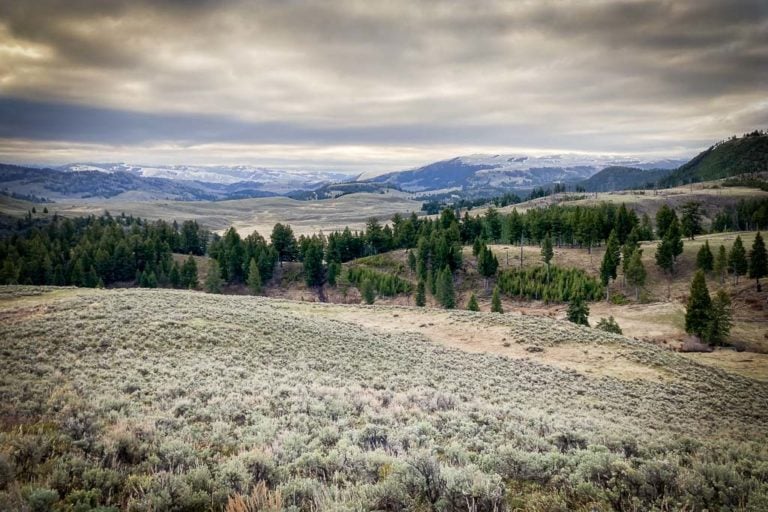 Cloudy morning at Blacktail Plateau in Yellowstone, Wyoming National Parks