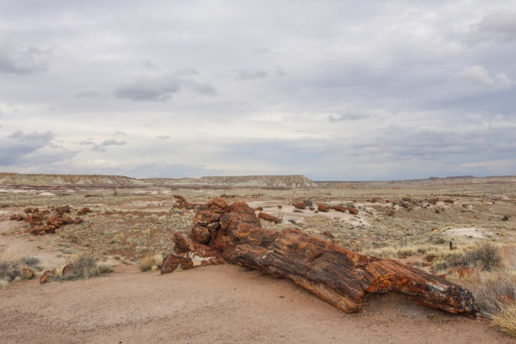 7 Essential Hikes in Petrified Forest National Park - The National ...