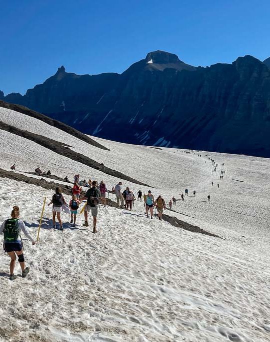 Hidden Lake Trail hikers on snow, Glacier National Park