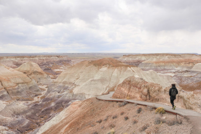 Hiker in the Blue Mesa, Petrified Forest National Park