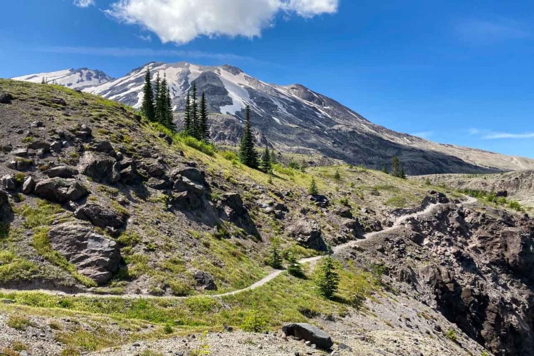 3 Must-Do Hikes at Mount St. Helens National Volcanic Monument - The ...