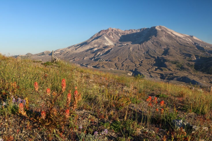 3 Must-Do Hikes at Mount St. Helens National Volcanic Monument - The ...