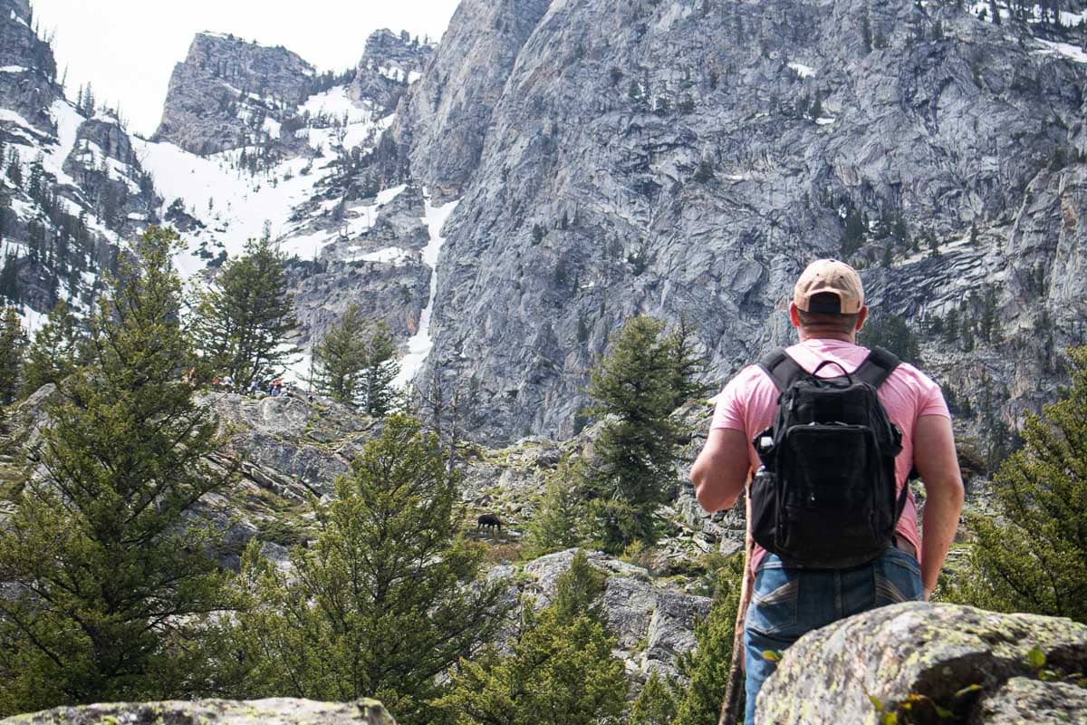 Man watches a moose in Cascade Canyon, Grand Teton National Park