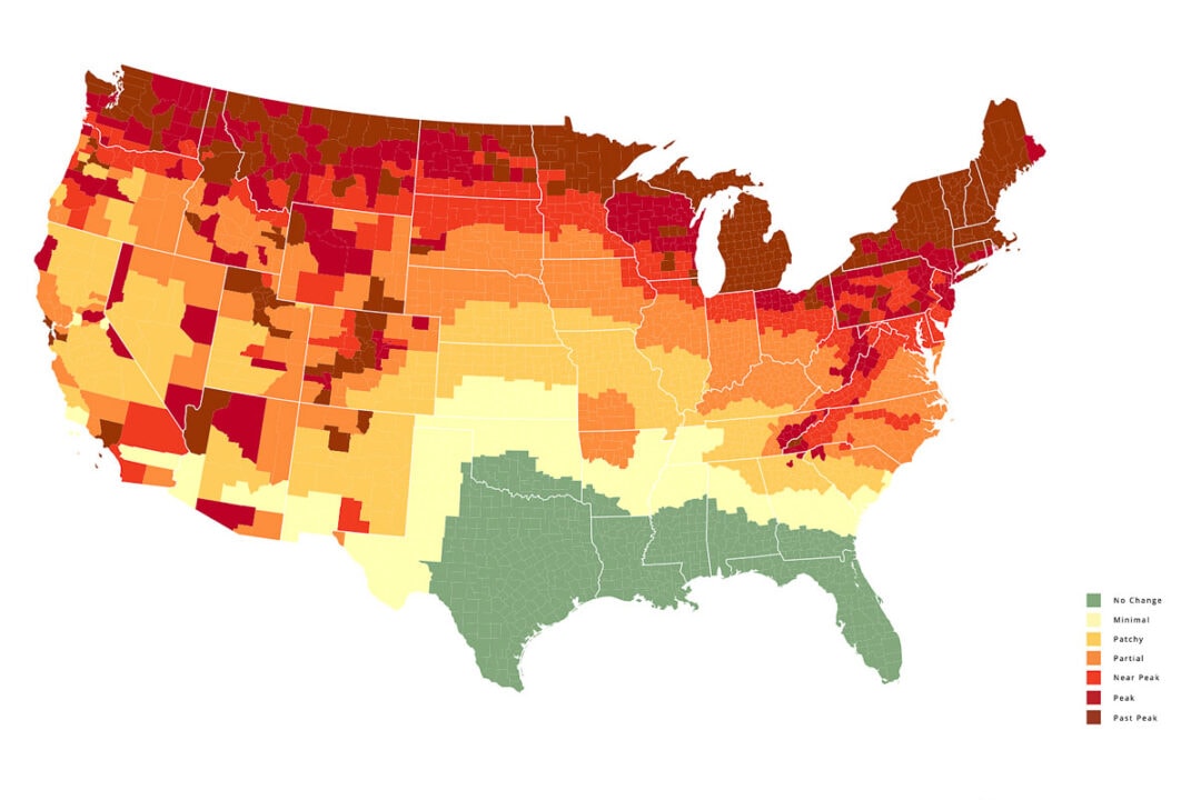 Fall Foliage Map 2023 Prediction of Fall Colors Across America The