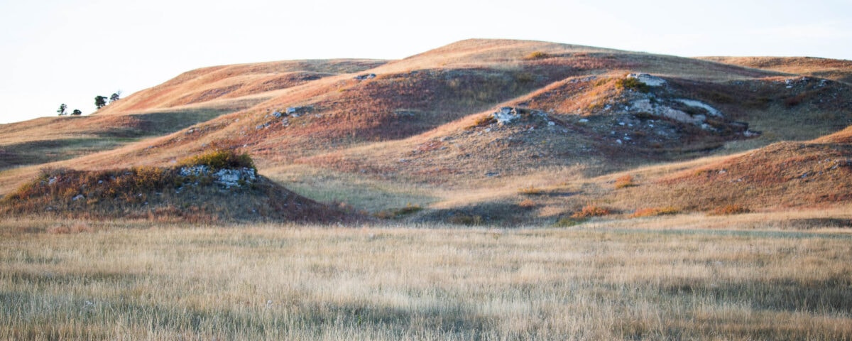 Wind Cave National Park South Dakota The National Parks Experience