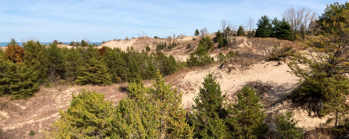 Indiana Dunes National Park Indiana The National Parks Experience