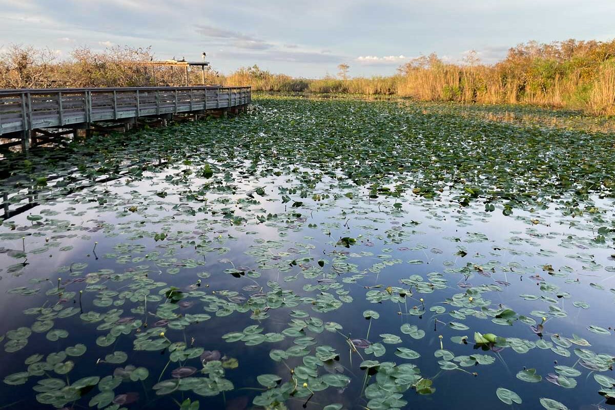 Anhinga Trail boardwalk and pond, Everglades National Park